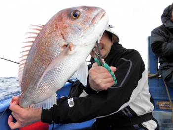 鯛紅丸 釣果