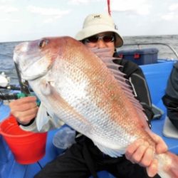 鯛紅丸 釣果