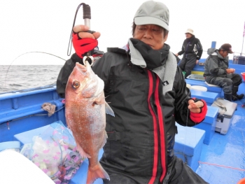 鯛紅丸 釣果