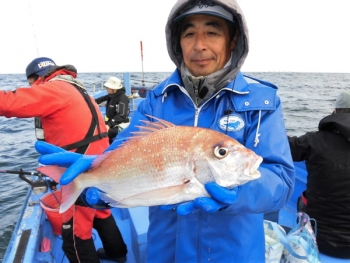 鯛紅丸 釣果