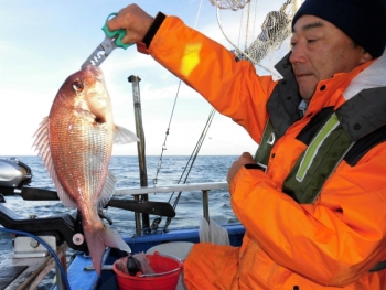 鯛紅丸 釣果