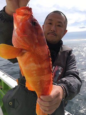 松栄丸 釣果