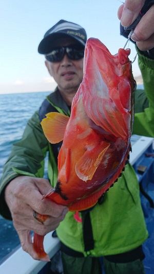 松栄丸 釣果