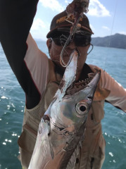 釣船 浦島太郎 釣果