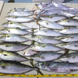 Hit Rush(ヒット ラッシュ） 釣果