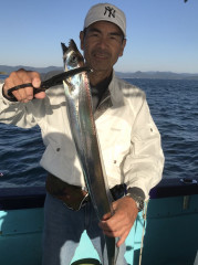 釣船 浦島太郎 釣果