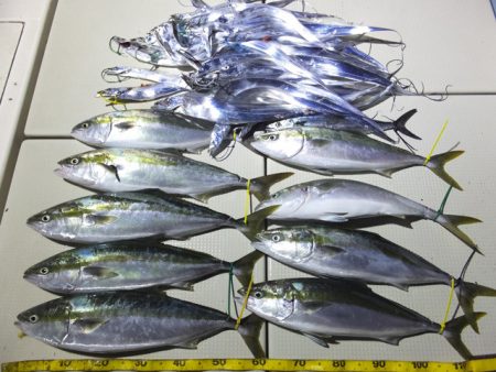 Hit Rush(ヒット ラッシュ） 釣果…