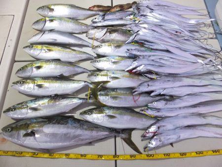 Hit Rush(ヒット ラッシュ) 釣果