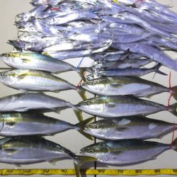 Hit Rush(ヒット ラッシュ） 釣果