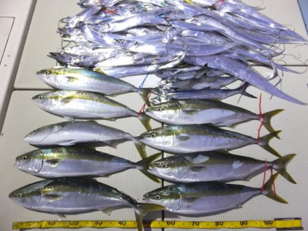 Hit Rush(ヒット ラッシュ） 釣果…