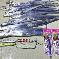 Hit Rush(ヒット ラッシュ） 釣果