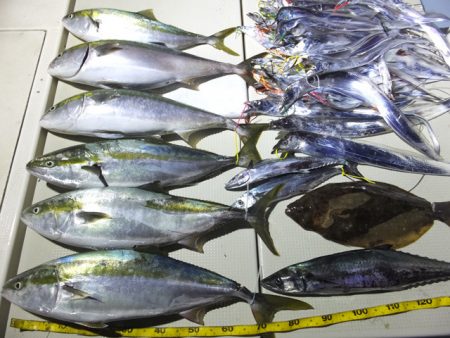 Hit Rush(ヒット ラッシュ) 釣果