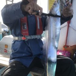 釣船 浦島太郎 釣果