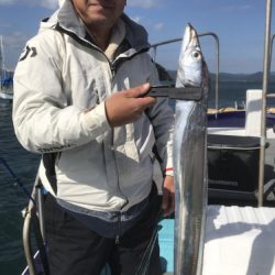 釣船 浦島太郎 釣果