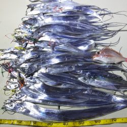 Hit Rush(ヒット ラッシュ） 釣果