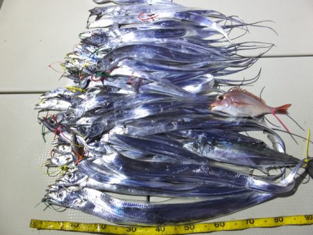 Hit Rush(ヒット ラッシュ） 釣果…