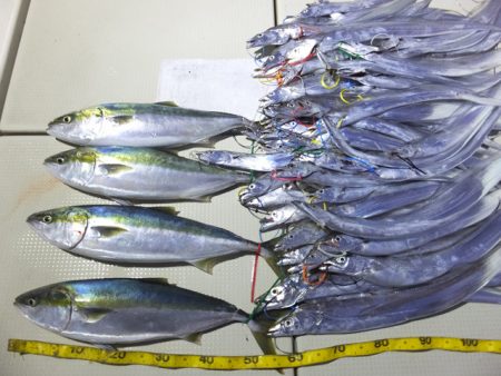 Hit Rush(ヒット ラッシュ） 釣果…