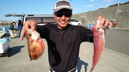 大進丸（新潟） 釣果