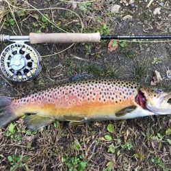 高萩ふれあいの里フィッシングエリア 釣果