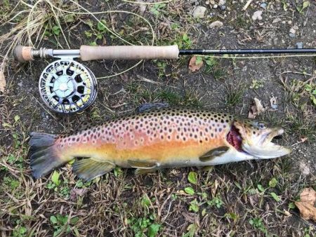 高萩ふれあいの里フィッシングエリア 釣果