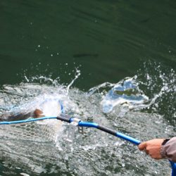 小菅トラウトガーデン 釣果