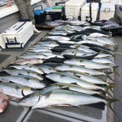 幸風（さちかぜ） 釣果