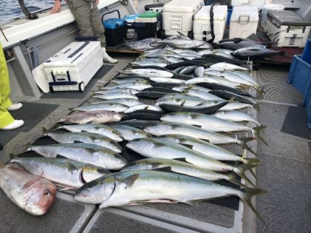 幸風（さちかぜ） 釣果