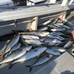 寿裕 （YOSHIHIRO） 釣果