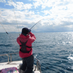遊漁船ブルーウッズ 釣果