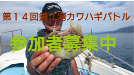海晴丸 釣果