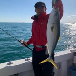 シーマジカル 釣果