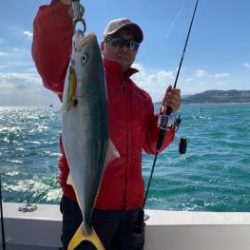 シーマジカル 釣果