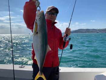 シーマジカル 釣果