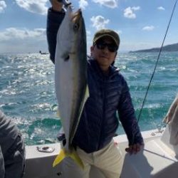 シーマジカル 釣果