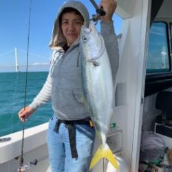 シーマジカル 釣果