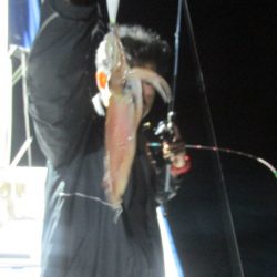 ジギング船 BLUEWATER 釣果