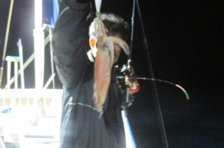 ジギング船 BLUEWATER 釣果