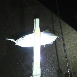 アベレージ狙い