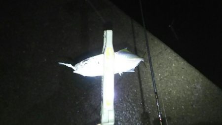 アベレージ狙い