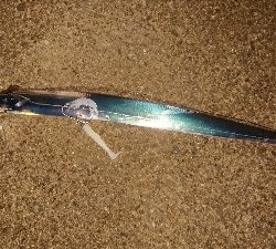 久しぶりのワインド