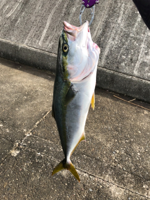 最近僕は絶好調！？