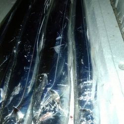 時合い短く渋め