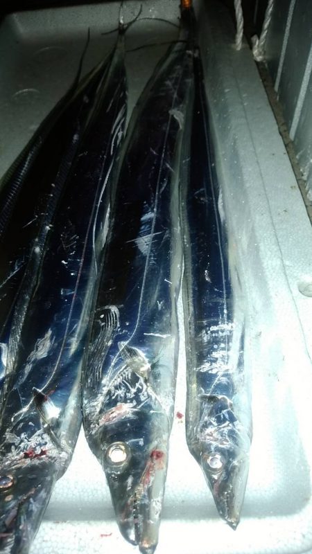 時合い短く渋め