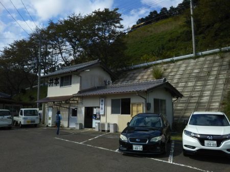 エギング&アジング