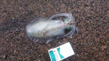 台風前に、、、