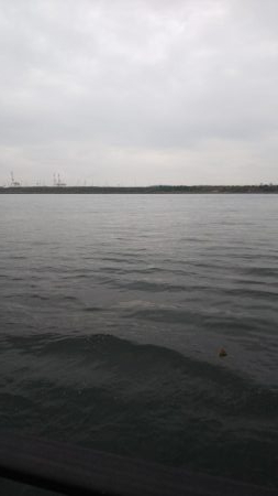 安定のタチウオ