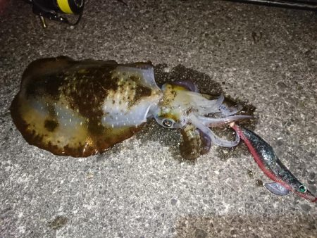 スラックジャーク