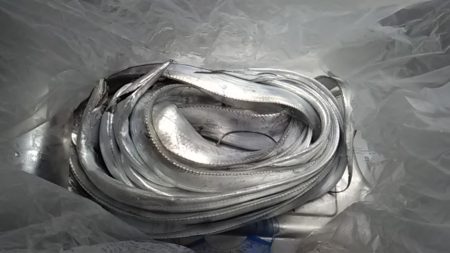 太刀魚ラッシュ