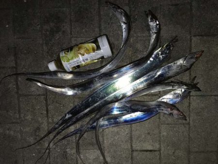 大阪南港・シーサイドコスモでタチウオ釣り