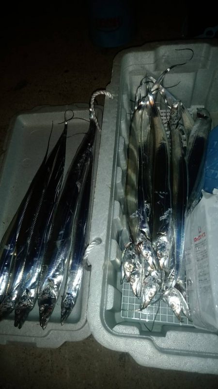 時合い短く渋め